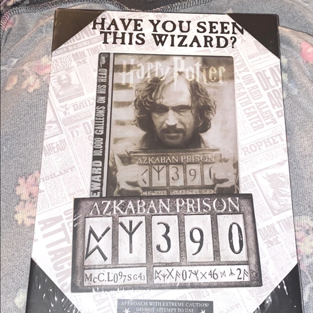 Harry Potter Frame